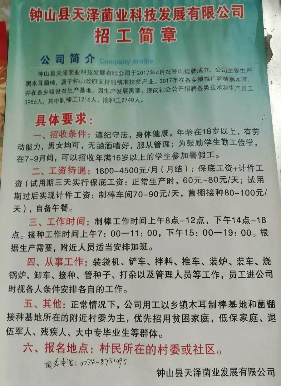 新元村最新招聘信息全面解析