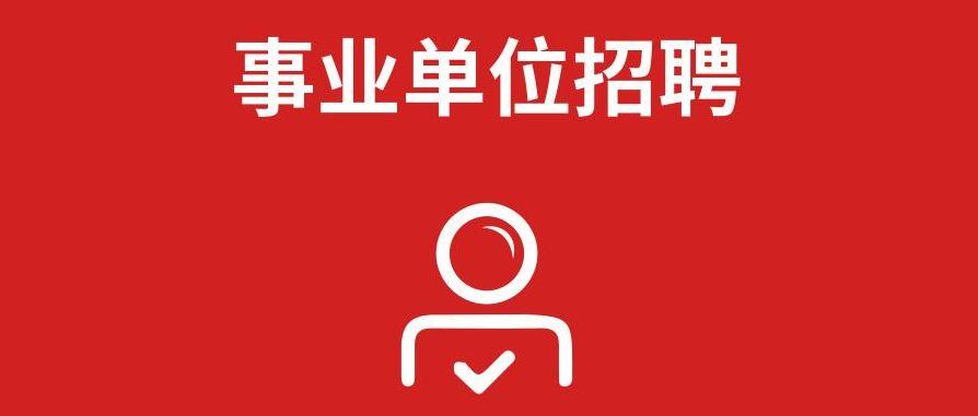 阳城县小学最新招聘公告概览