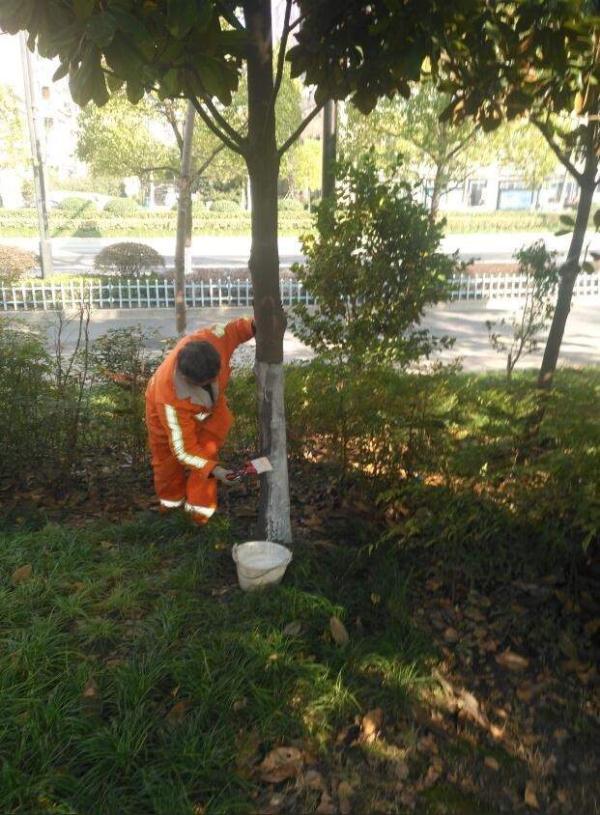 沿河土家族自治县特殊教育事业单位招聘公告及解读