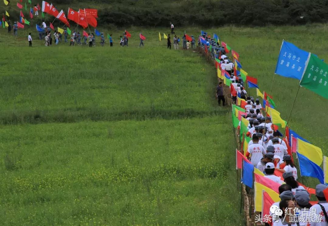 柳条河村民委员会最新动态报道