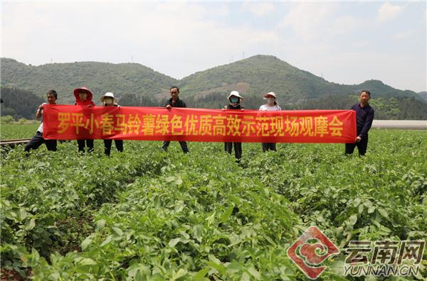 富乐镇未来繁荣蓝图，最新发展规划揭秘