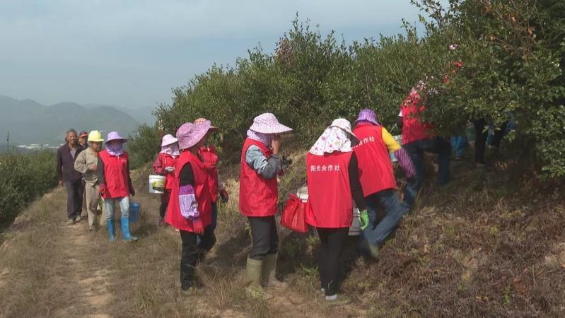 结山村民委员会最新动态报道