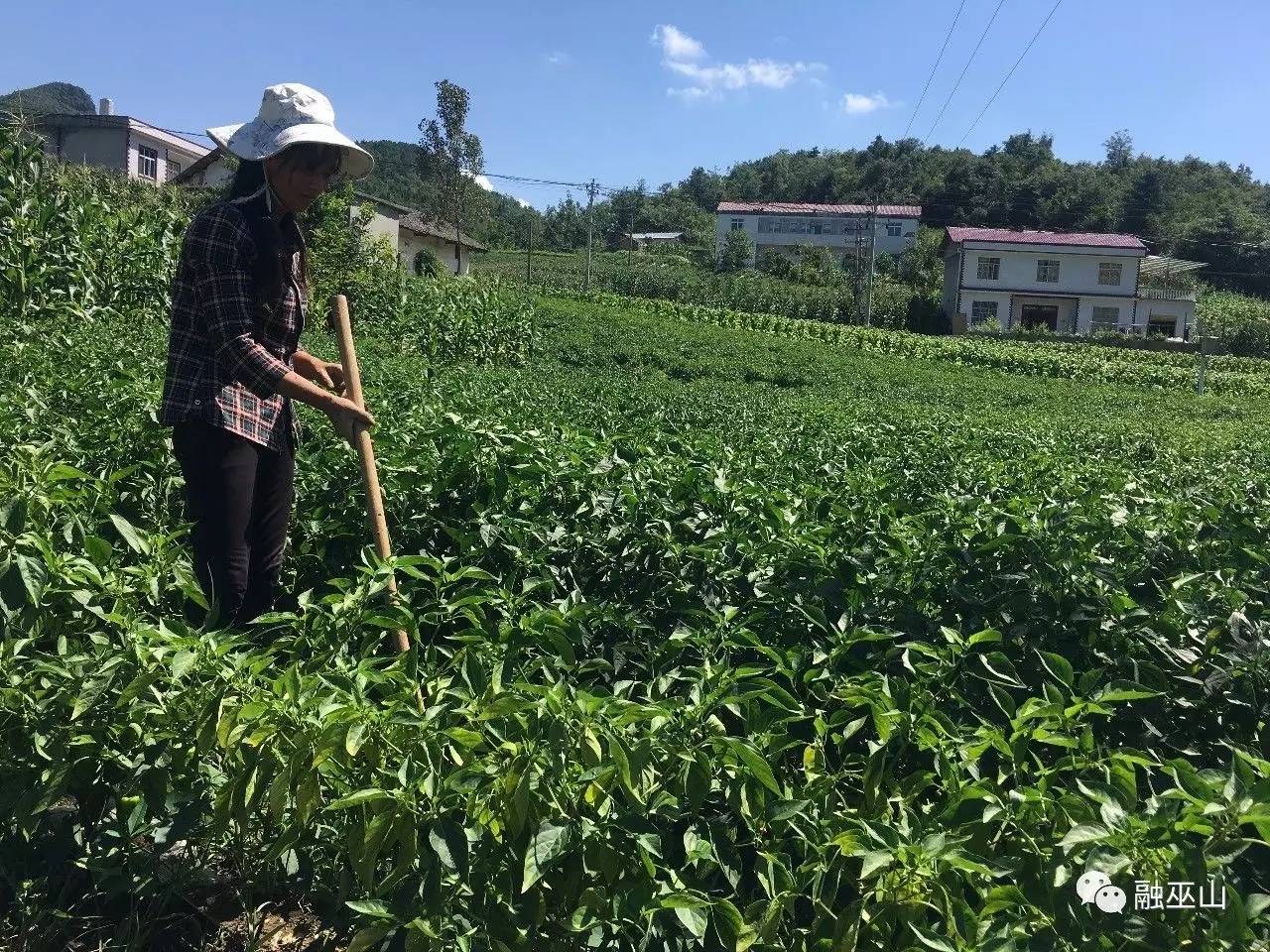 邓家土家族乡新领导引领开启新篇章