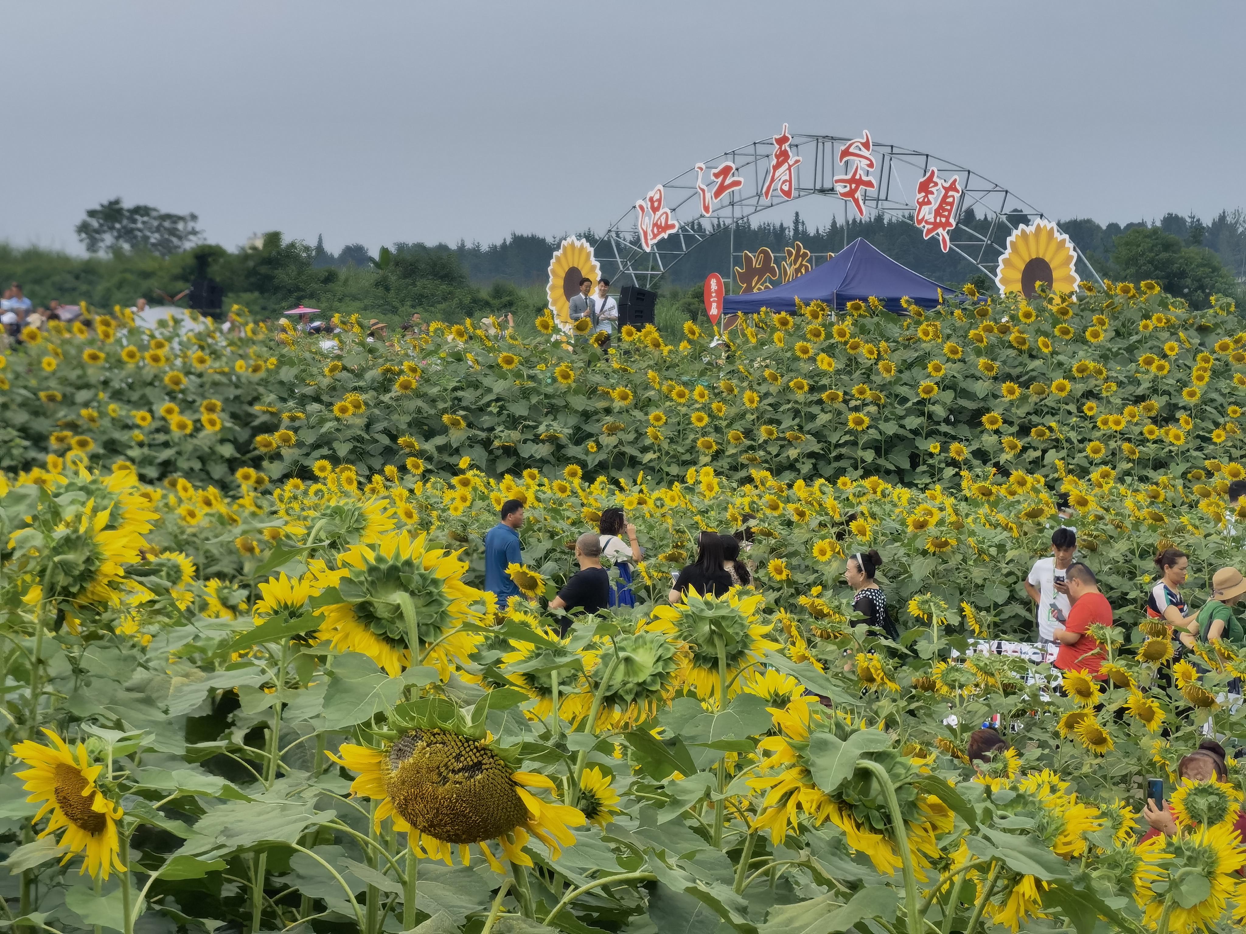 汪家湾社区优化交通环境，提升居民出行体验最新报道