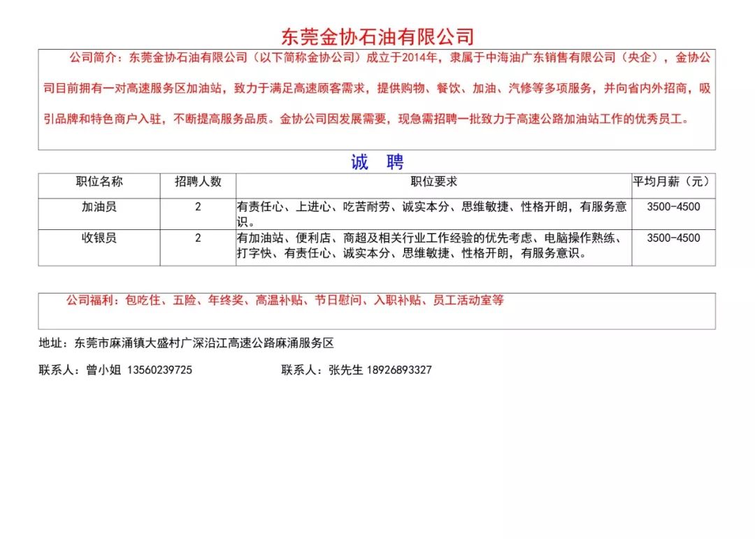 东石镇最新招聘信息概览与深度解析