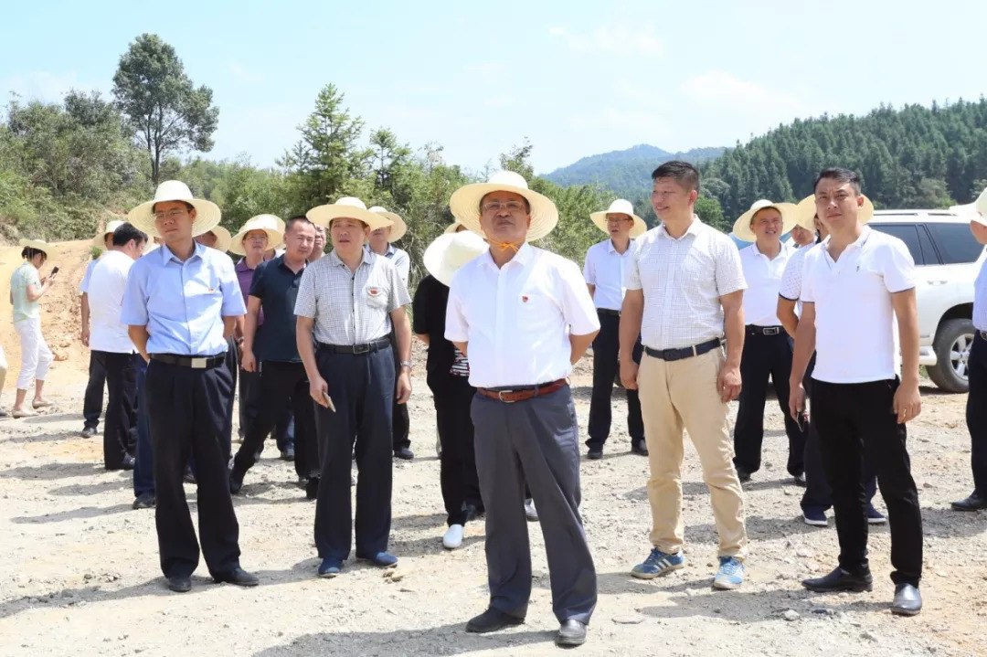 麻亚村新任领导引领乡村开启繁荣新篇章