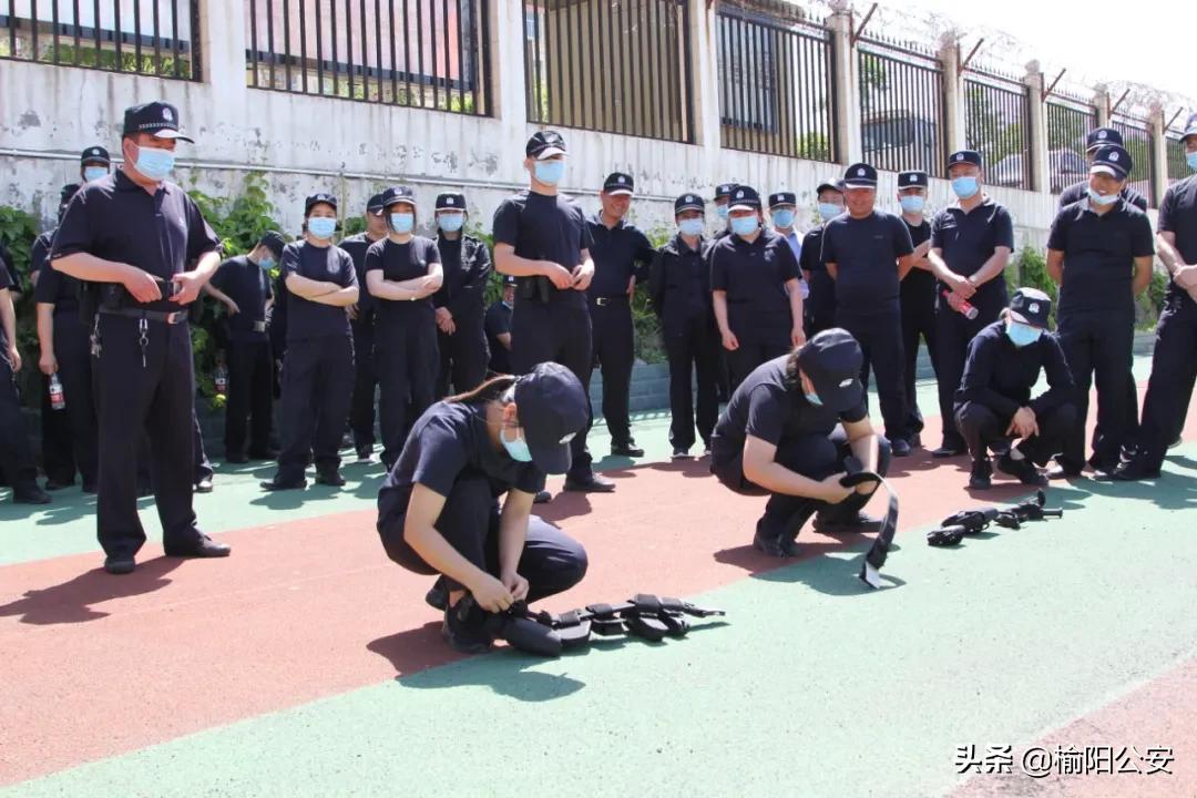 榆阳区科学技术和工业信息化局最新人事任命，推动区域科技和工业信息化发展的强大力量