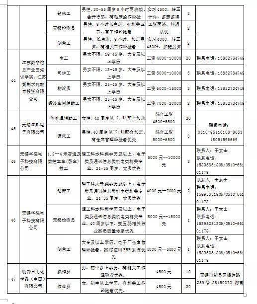 洛川县初中最新招聘信息概览