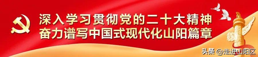 山阳区统计局发展规划，构建现代化统计体系，助推区域高质量发展