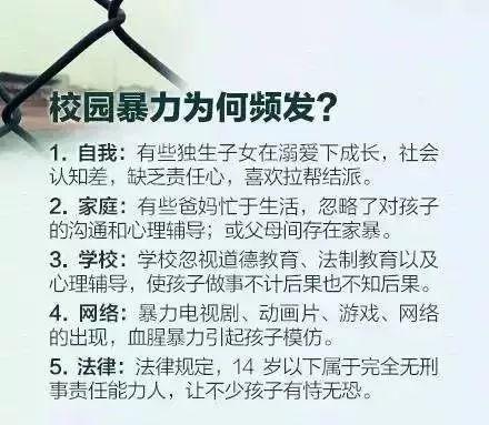 永新县初中最新项目，引领教育创新，塑造未来之光启航计划