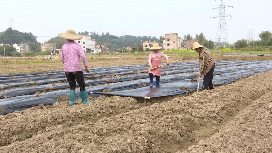 八步区计生委最新招聘信息与动态概览