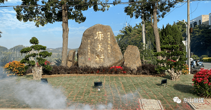 康美村最新项目，引领乡村发展的典范之作