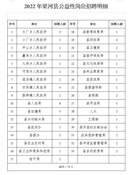 景洪市发展和改革局最新招聘信息概览