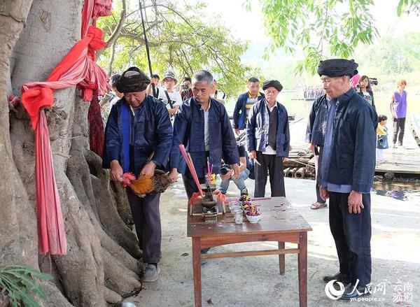 五龙壮族乡发展动态速递，最新新闻与亮点展现