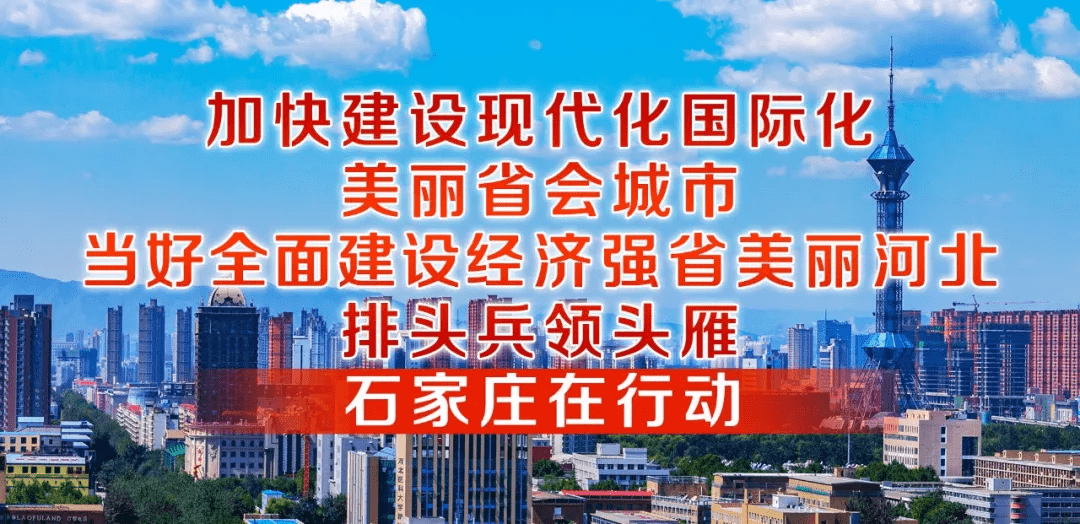 桑树洼村委会最新招聘信息概览