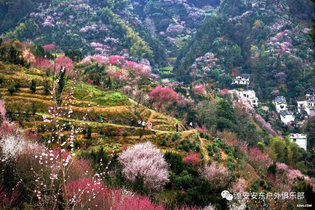 雄村乡新项目，乡村发展的强大引擎驱动力