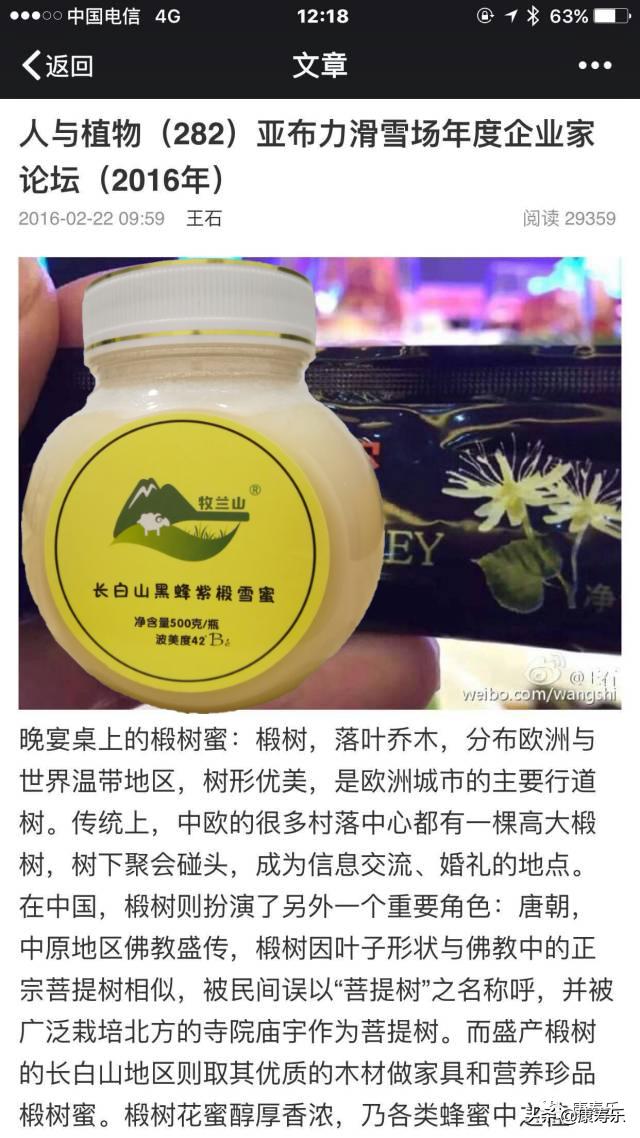 威山林场路网升级引领绿色出行新篇章