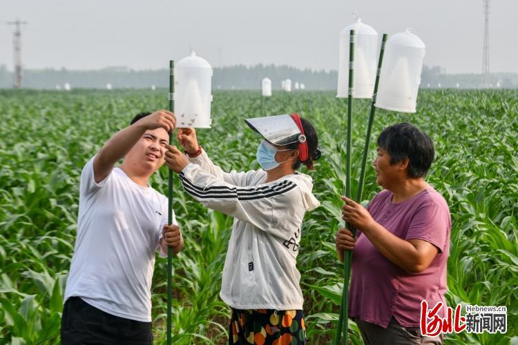 南高乡最新新闻，发展动态与社区新貌