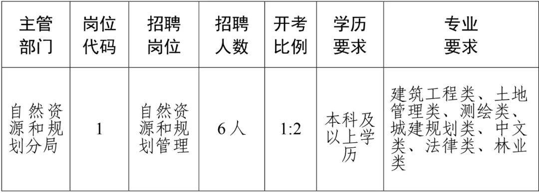 镇安县自然资源和规划局最新招聘公告解析