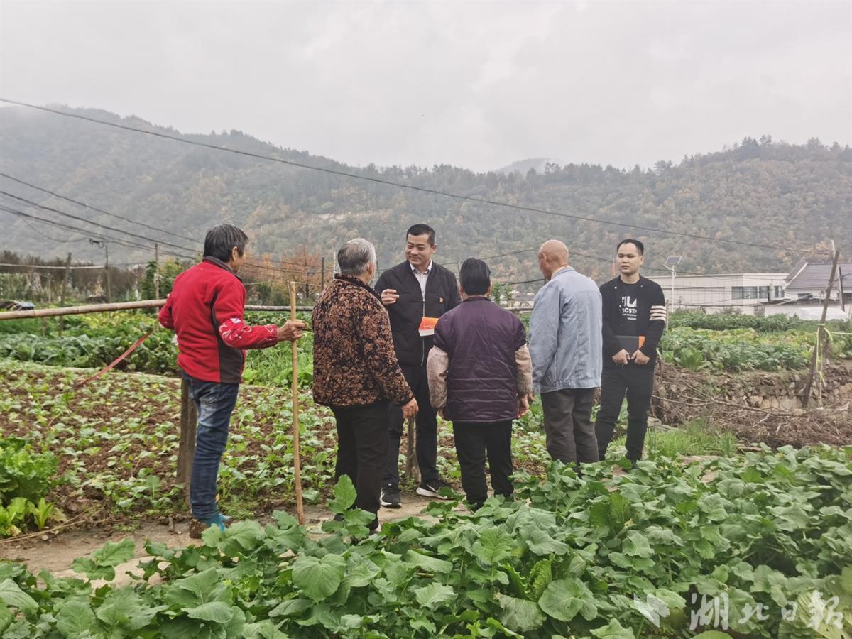 二十铺村民委员会最新项目，乡村振兴的新引擎