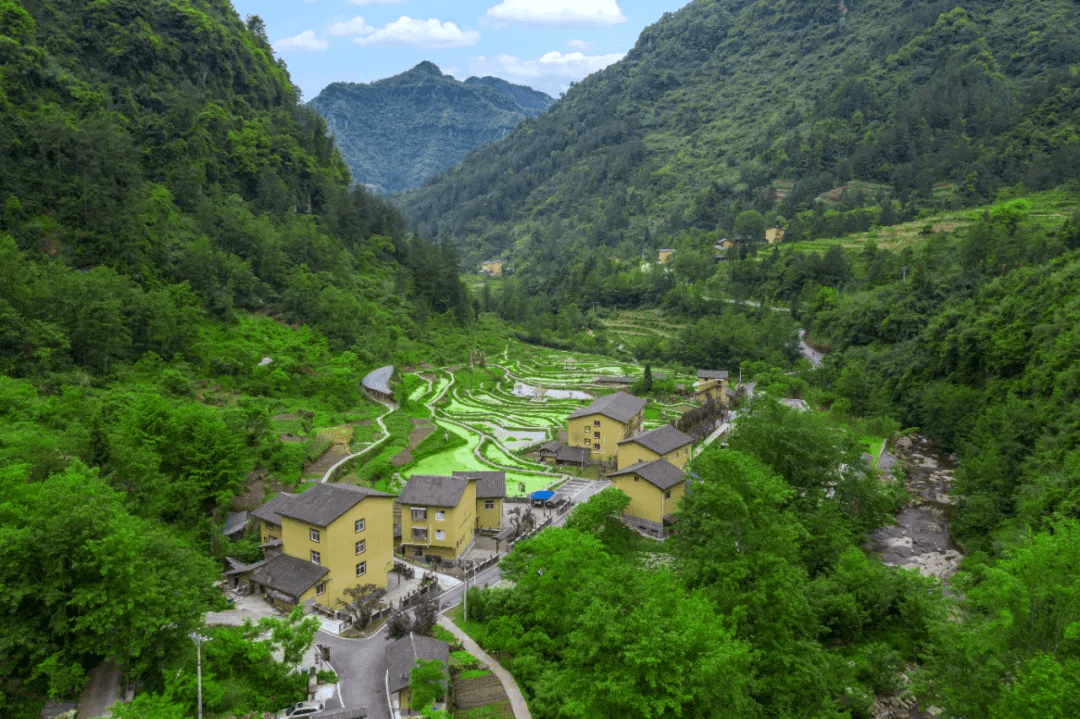 浮丘山乡新项目，引领地区发展新标杆