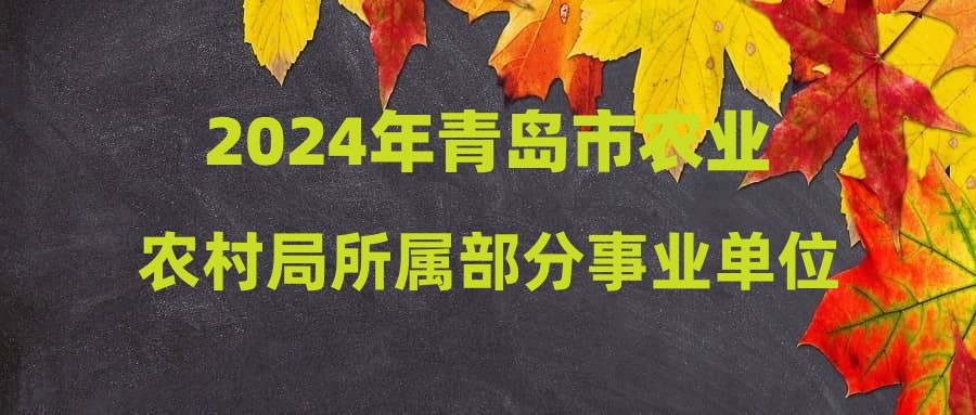 栖霞市农业农村局最新招聘信息全面解析