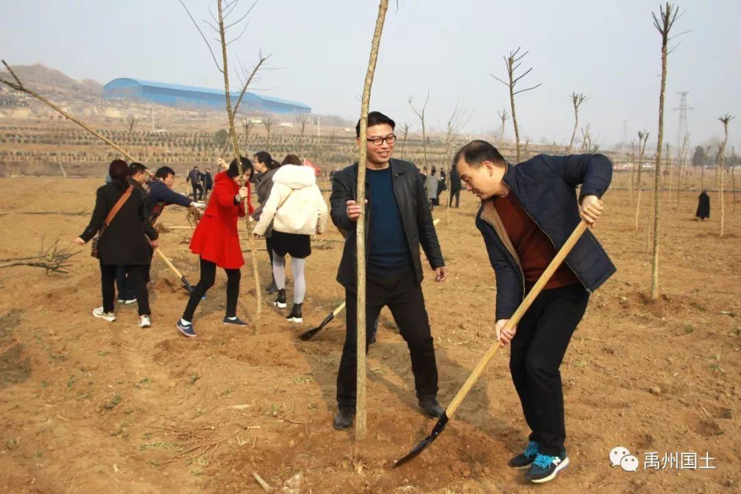 禹州市人民政府办公室最新发展规划概览