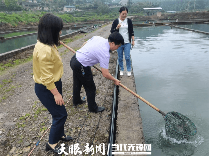 鲟鱼镇揭秘，新发展新变化引领时代潮流