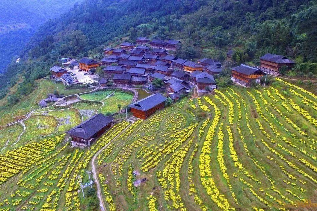 如意乡典范项目，引领乡村发展新篇章