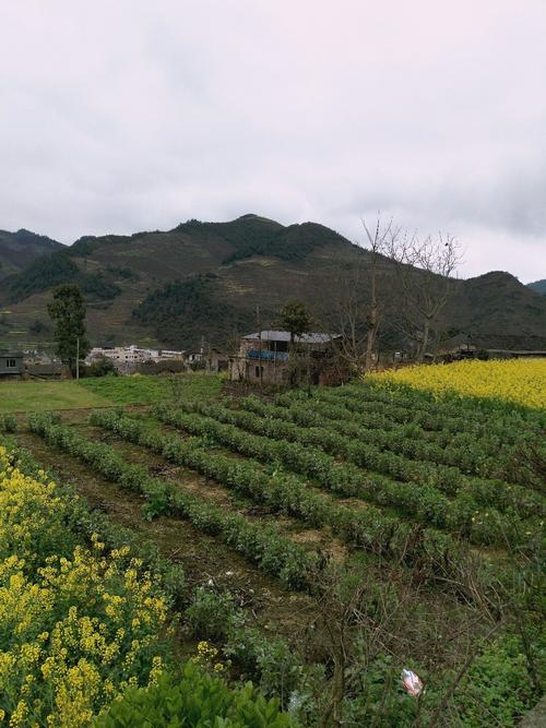 罗溪瑶族乡天气预报更新通知