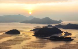 竹尼村今日天气预报