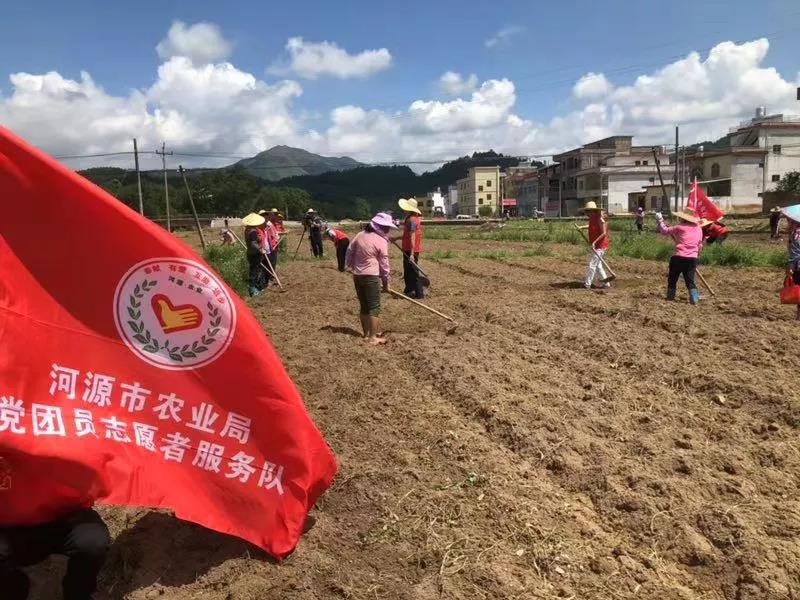 连平县农业农村局最新动态报道