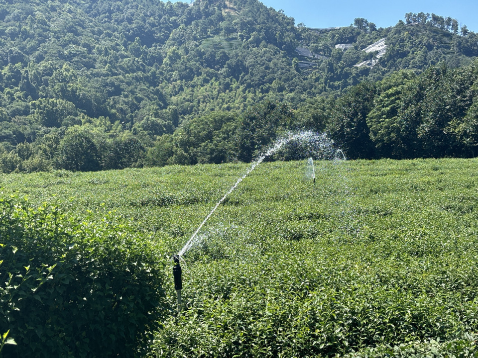 茶树村天气预报更新通知