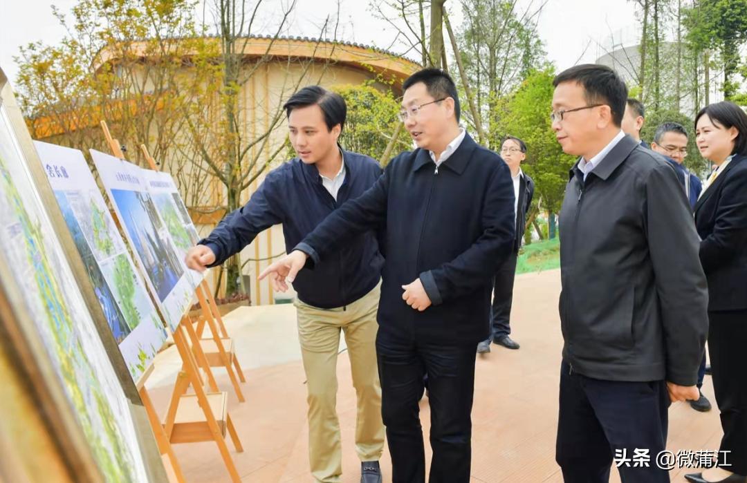 圣茶社区新项目，引领未来社区发展新典范