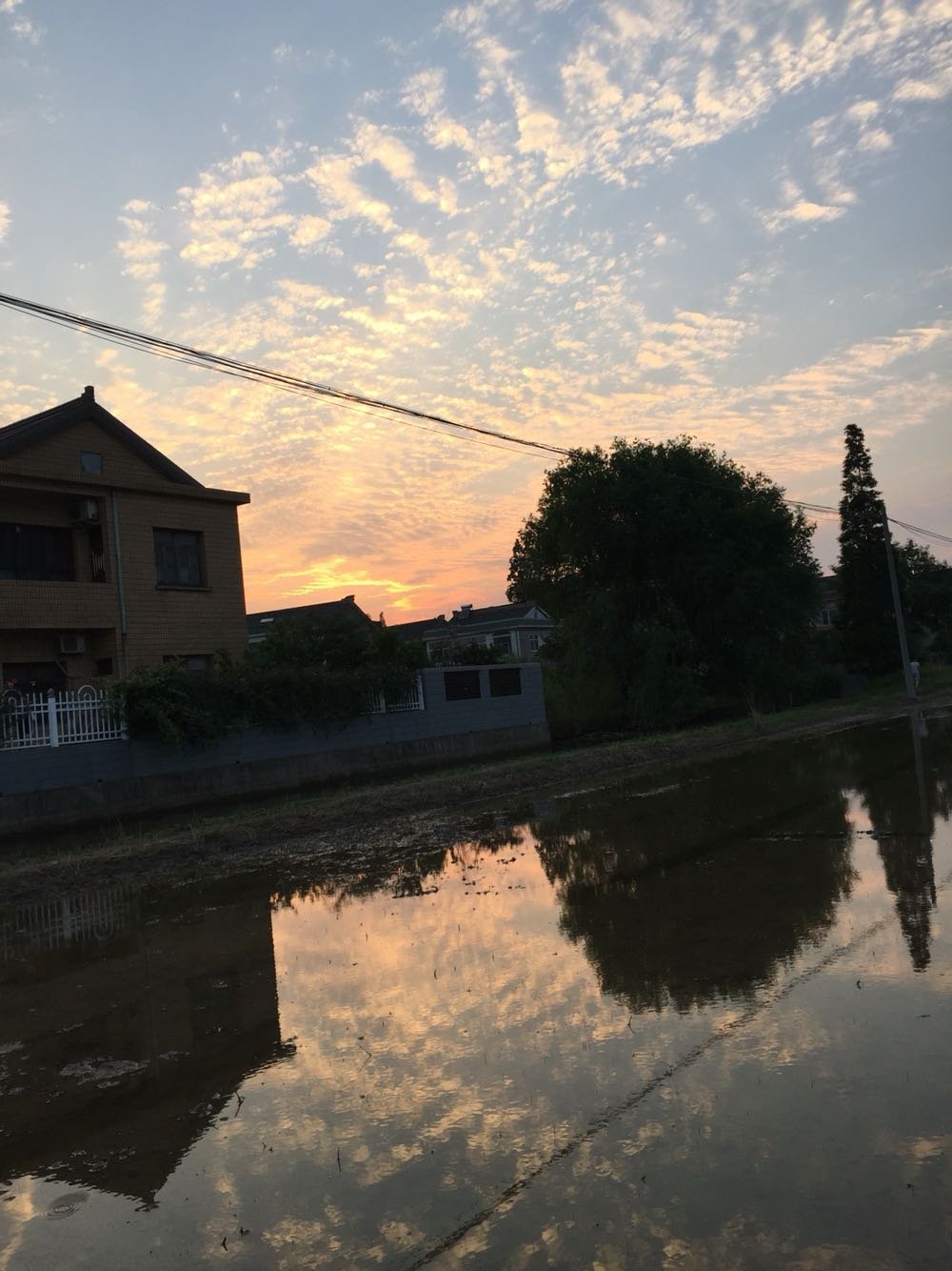 如皋市良种场天气预报更新