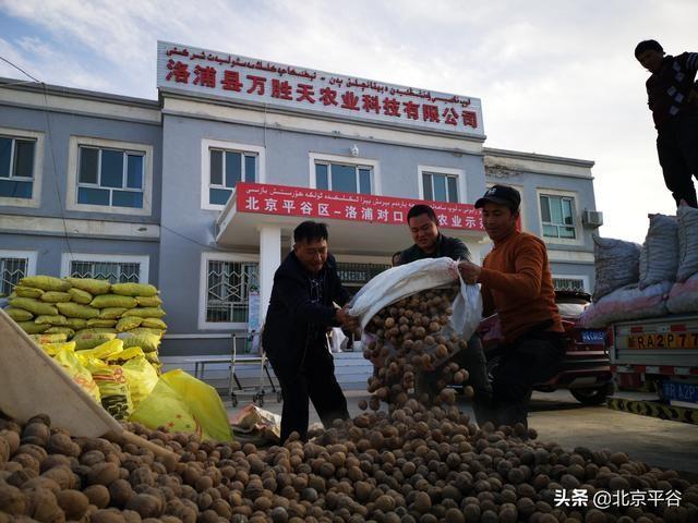 洛浦县人力资源和社会保障局人事任命，激发新活力，共塑未来