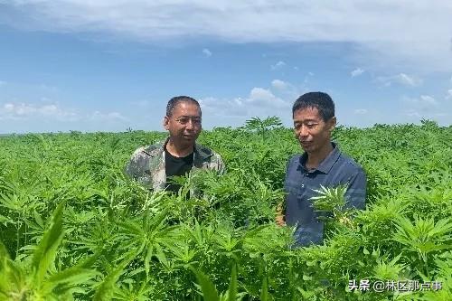 绥棱县科技局领导团队最新概述