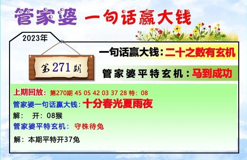 202管家婆一肖一吗,实时数据解释定义_DX版64.638