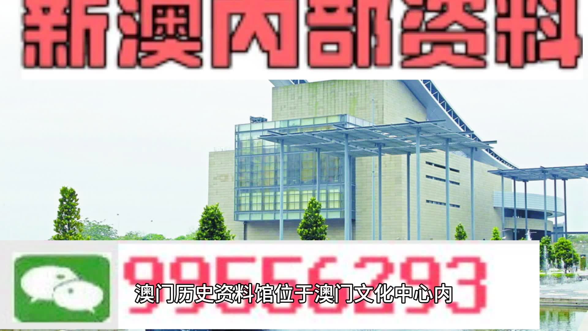 2024年新澳门天天开奖免费查询,动态词语解释落实_专属款18.307