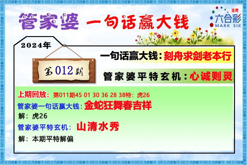 管家婆的资料一肖中特46期,可靠解答解释定义_微型版19.323