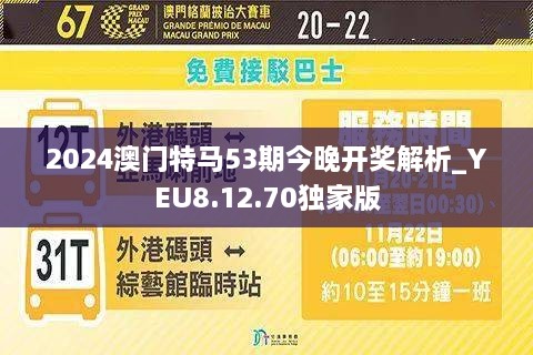 2024新澳门今晚开特马直播,全面解答解释落实_bundle72.168