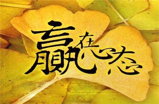 2024年新澳门夭夭好彩,全面解答解释落实_潮流版2.773