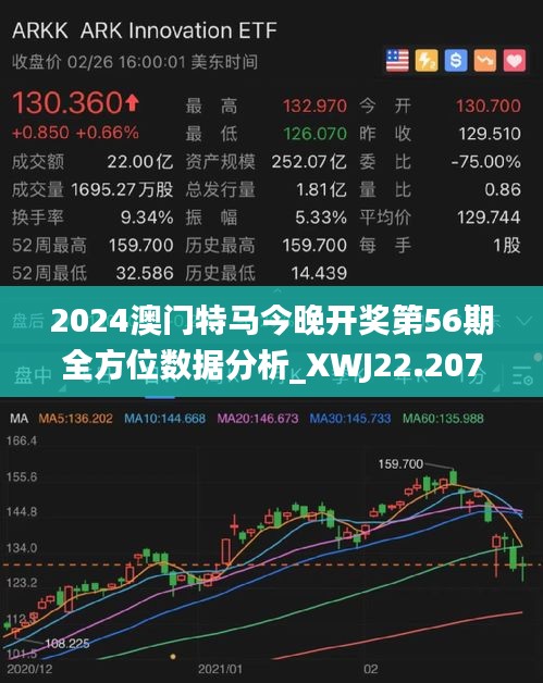 2024新澳门今晚开特马直播,实地验证分析数据_tool26.203