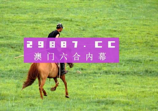 今晚澳门必中24码,精细化策略定义探讨_精英款61.78