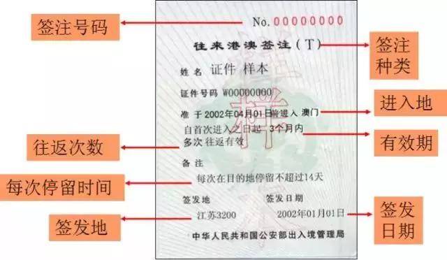 新澳门免费资料大全在线查看,经济性执行方案剖析_钱包版62.558