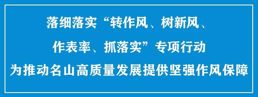 树扎村民委员会发展规划概览