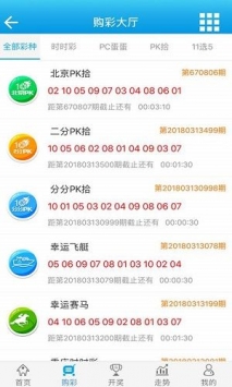 2O24澳门开奖结果王中王,系统解答解释定义_豪华款57.864