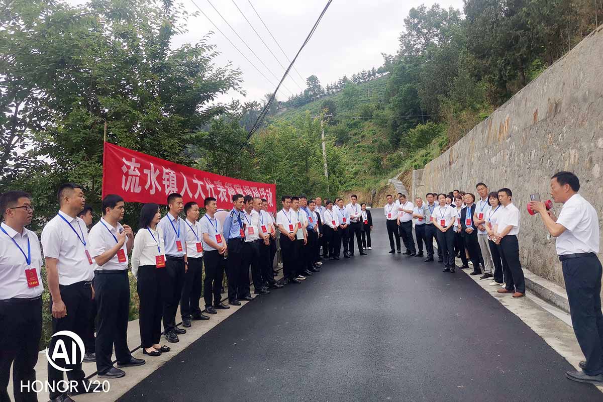 流水镇重塑乡村魅力，引领未来发展新篇章启动项目