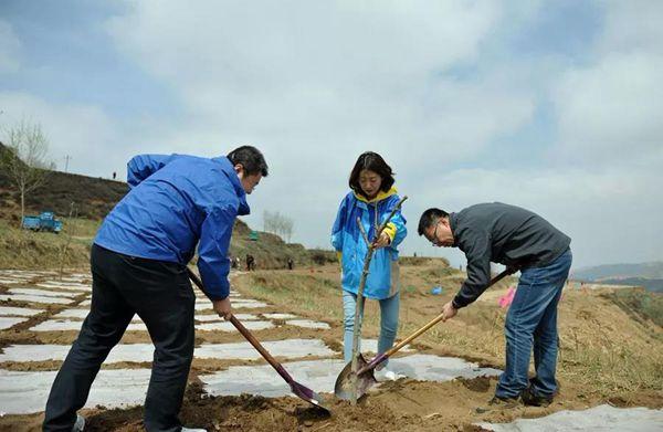 老虎山村委会领导团队全新概览