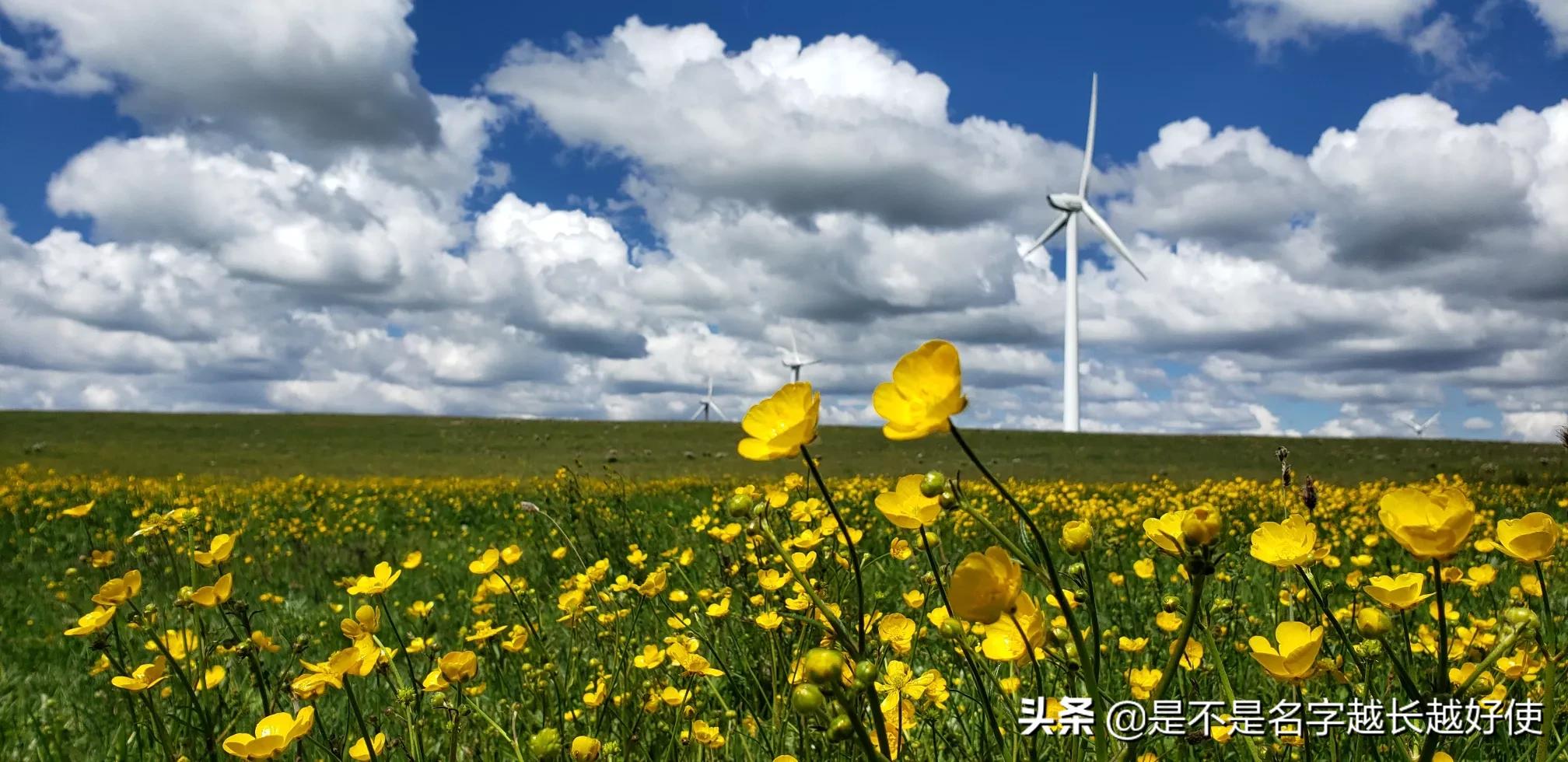 察哈尔右翼中旗公安局推动智能化警务建设，提升社会治安水平新进展